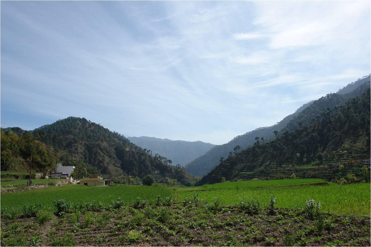 fields.jpg